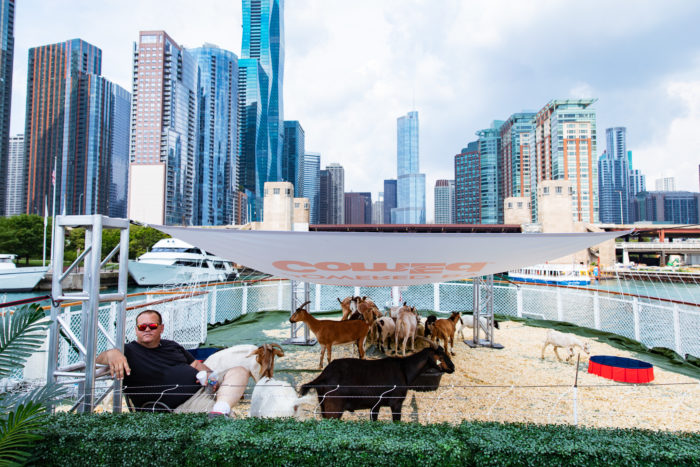 Goats on a Boat 7